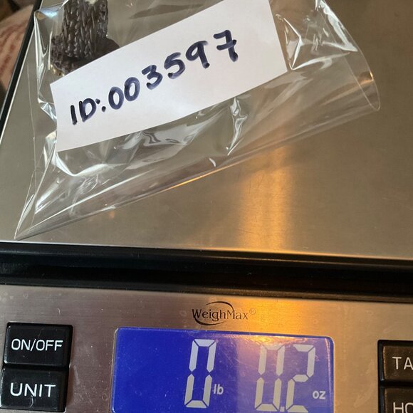 VTG New Old Stock Handmade Ring Sz 7.5 Crochet Natural Shell Coastal Boho - Picture 8 of 8